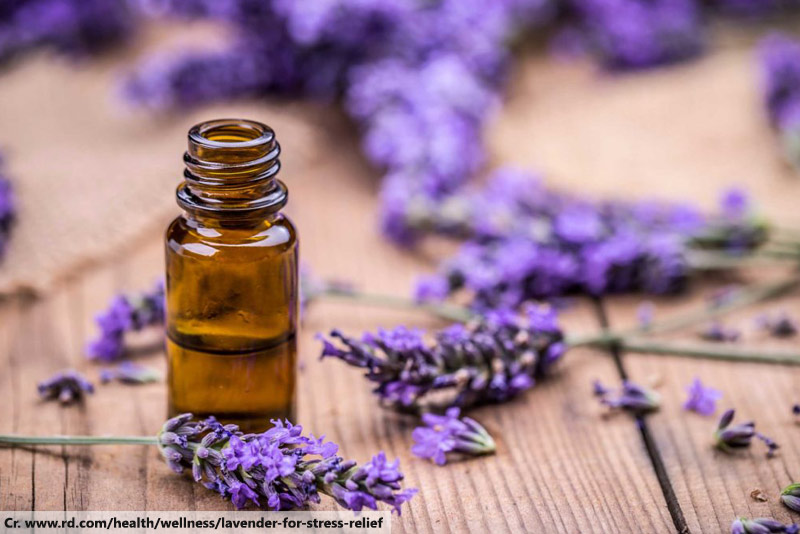 Lavender Aromatherapy Oils