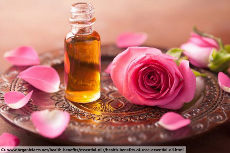 rose essential oil, Aromatherapy Oils Phuket